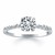 Diamond Engagement Ring Mounting with Shared Prong Diamond Accents in 14k White Gold