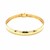 Classic Omega Bracelet in 14k Yellow Gold  (6.00 mm)