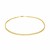 Rolo Anklet in 10k Yellow Gold (2.3 mm)