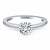 Classic Pave Diamond Band Engagement Ring Mounting in 14k White Gold