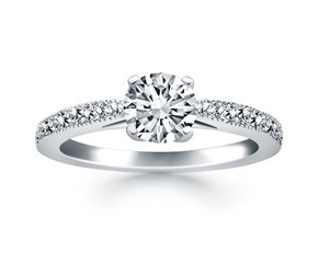Diamond Pave Cathedral Engagement Ring Mounting in 14k White Gold