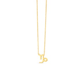 14K Yellow Gold Capricorn Necklace