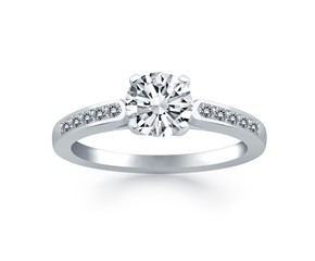 Diamond Channel Cathedral Engagement Ring Mounting in 14k White Gold