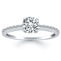 Engagement Ring Mounting with Pave Diamond Band in 14k White Gold