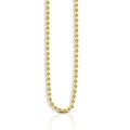 Oval Mirror Chain in 14k Yellow Gold (2.20 mm)