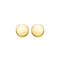 14k Yellow Gold Polished Round Post Earrings(5.5mm)